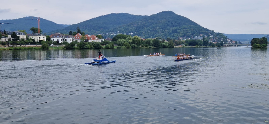 Firmencup-Rennen auf dem Neckar