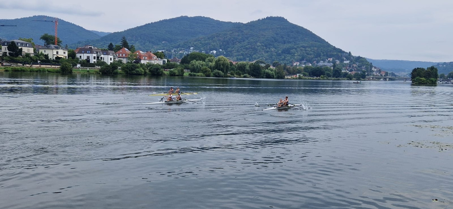 Rennen von drei Zweier-Booten auf dem Neckar
