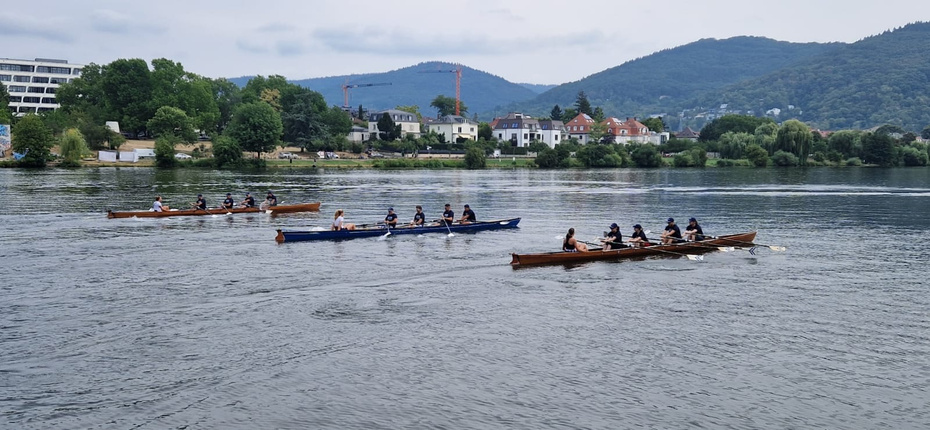 drei breite Ruderboote auf dem Neckar